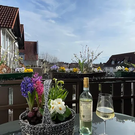 Schicke Apartment Dresden